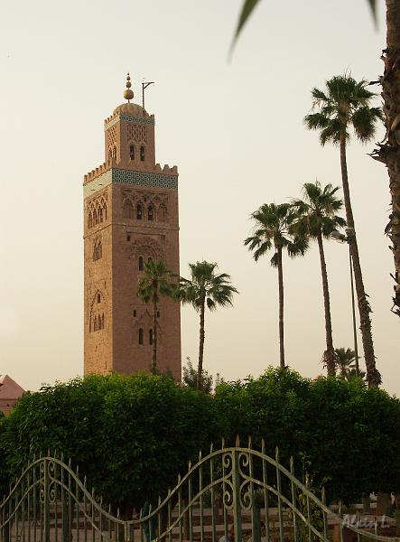 PICT2181.JPG