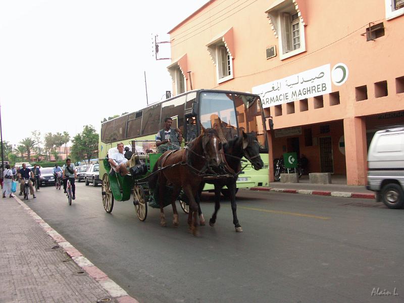PICT2189.JPG