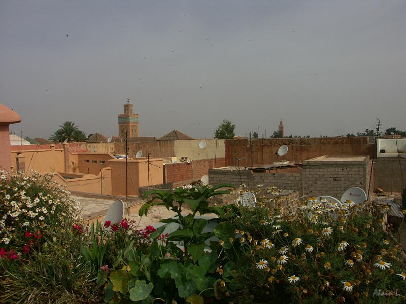 PICT2216.JPG