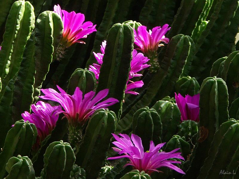 PICT2302.JPG