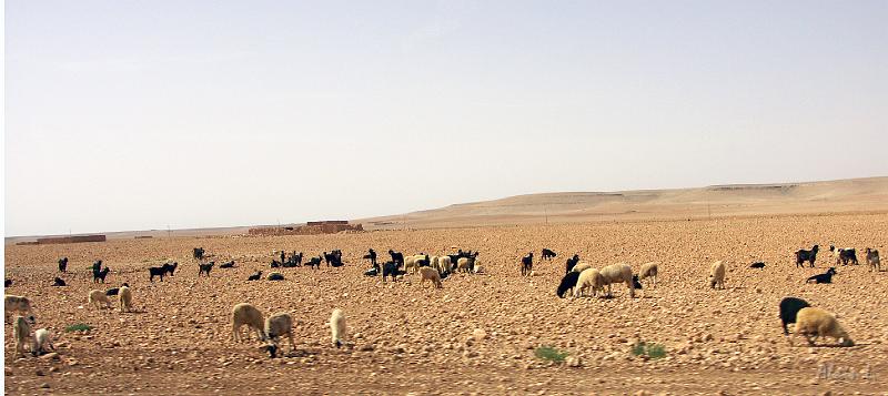 PICT2316.JPG