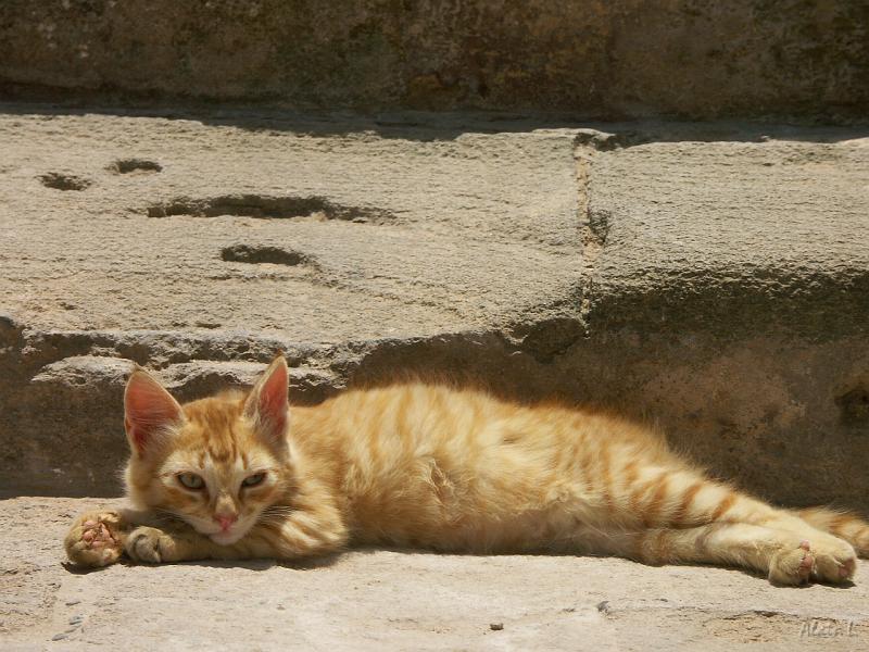 PICT2347.JPG