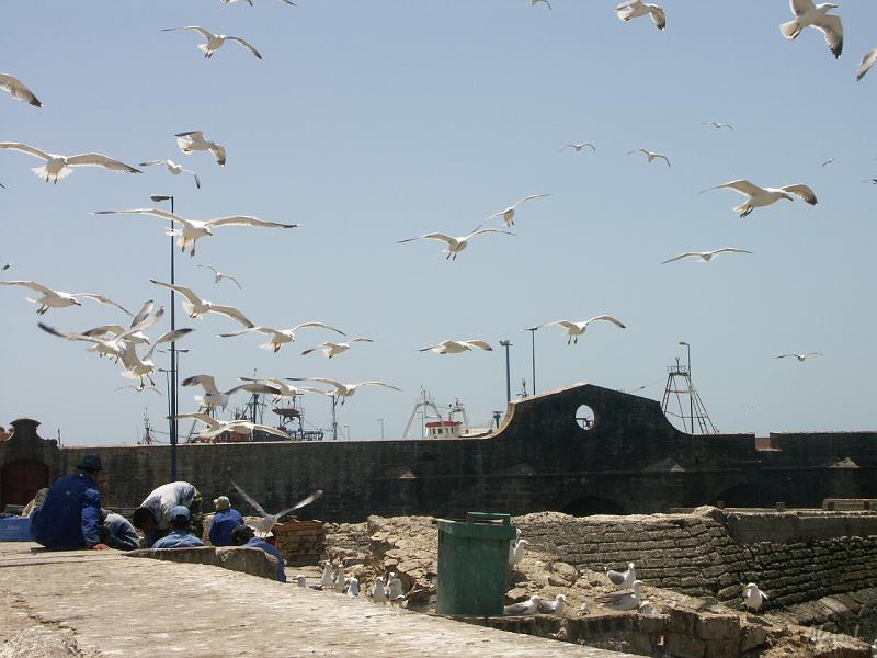 PICT2352.JPG