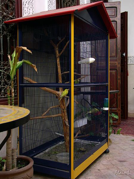 PICT2394.JPG