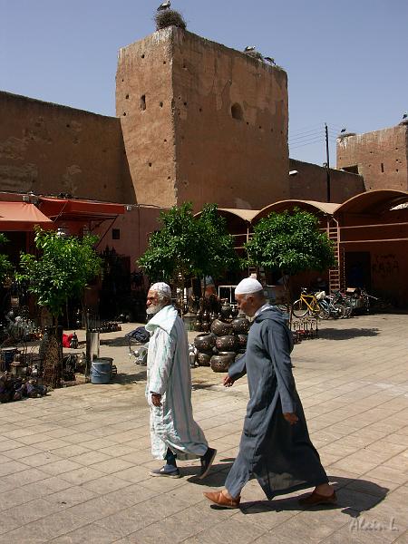 PICT2414.JPG