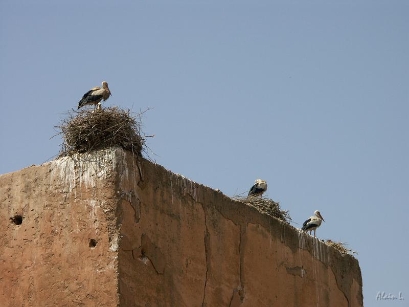 PICT2418.JPG