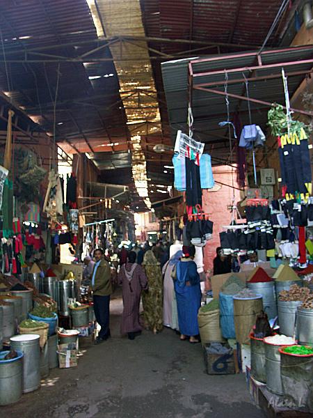 PICT2428.JPG