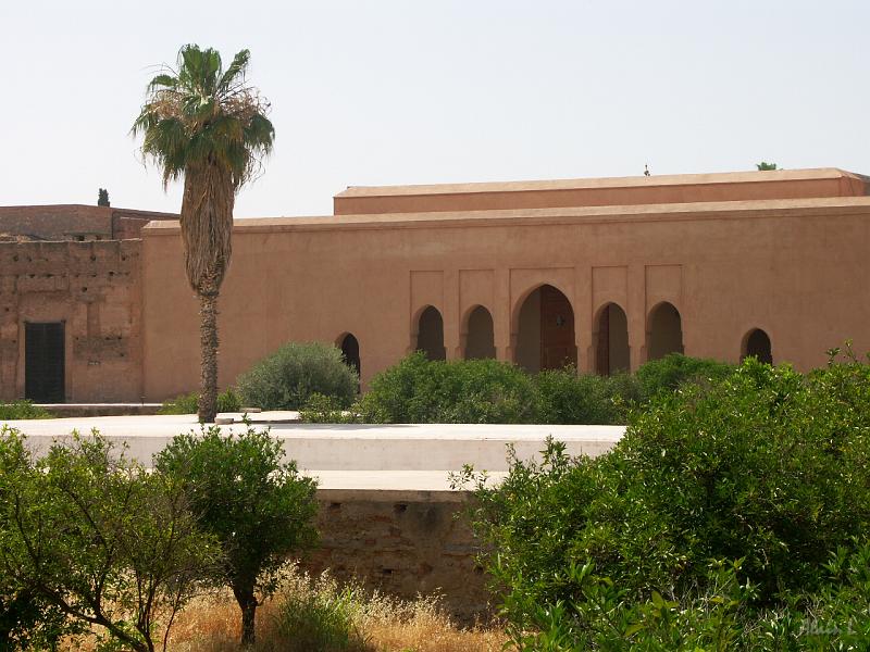 PICT2487.JPG