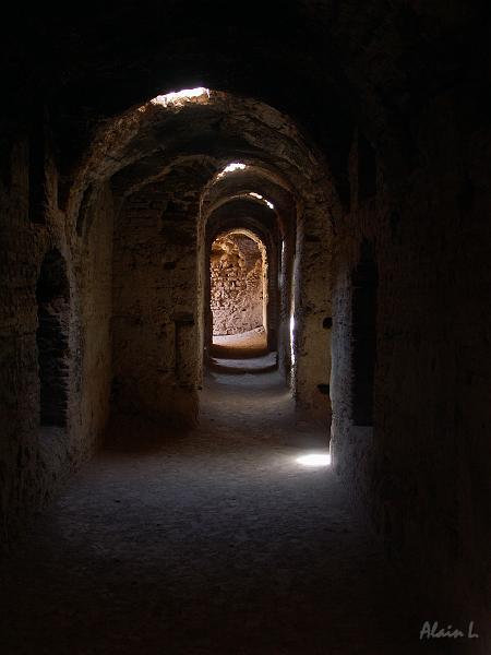 PICT2504.JPG