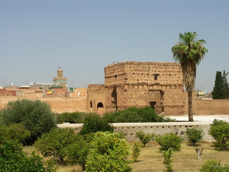 PICT2505.JPG