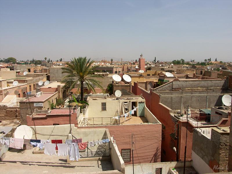 PICT2509.JPG