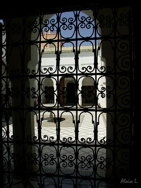 PICT2522.JPG