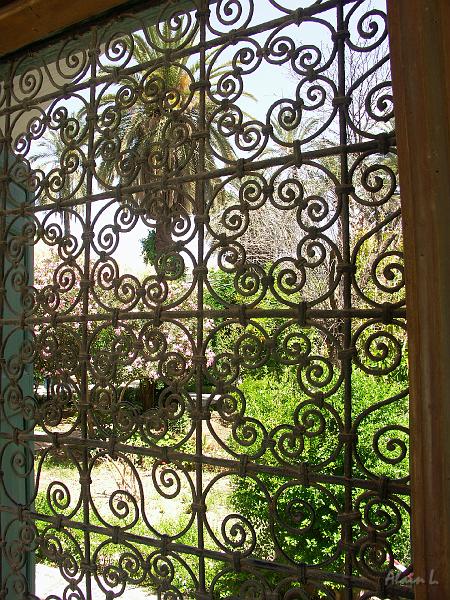 PICT2529.JPG