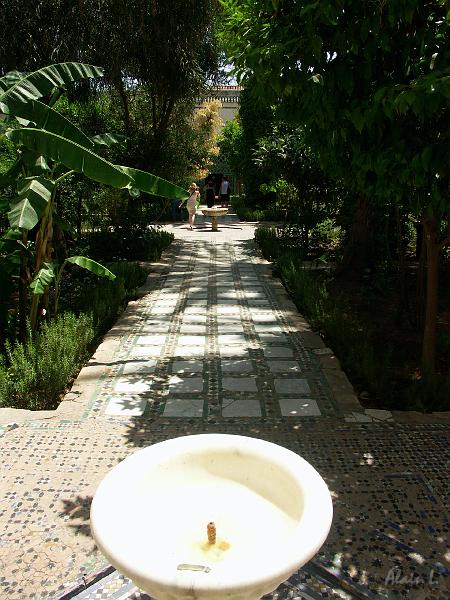 PICT2534.JPG