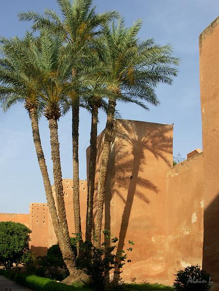 PICT2550.JPG