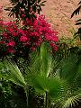 PICT2512