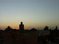 PICT2555