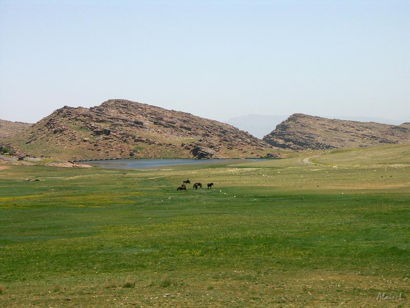 PICT2583.JPG