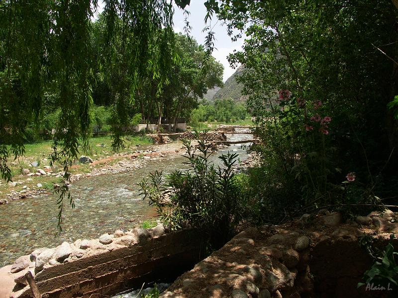 PICT2611.JPG