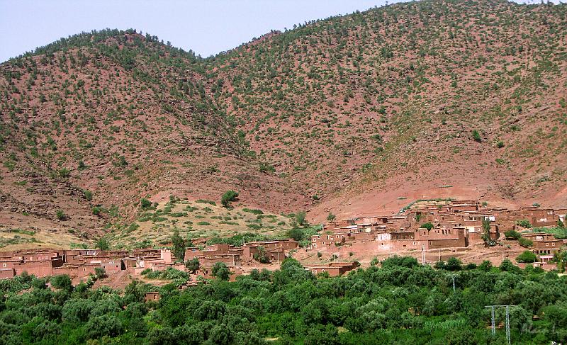 PICT2630.jpg