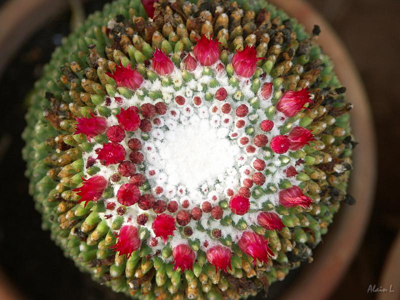 PICT2635.JPG