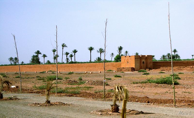 PICT2638.jpg
