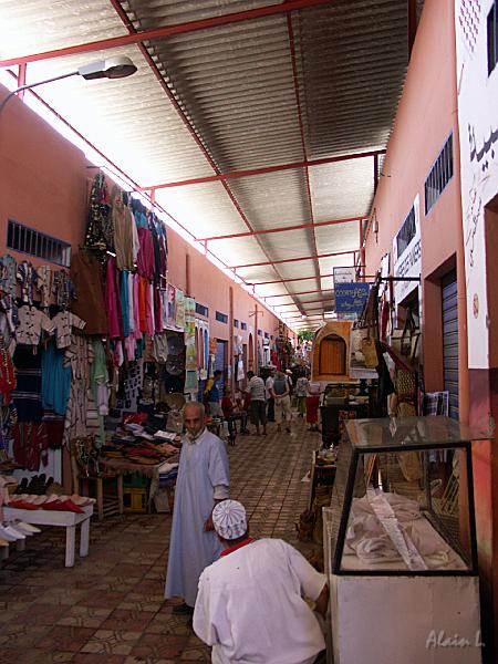 PICT2642.JPG