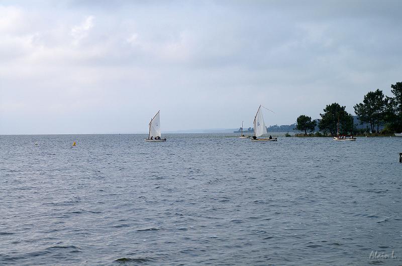 PICT3490c.jpg
