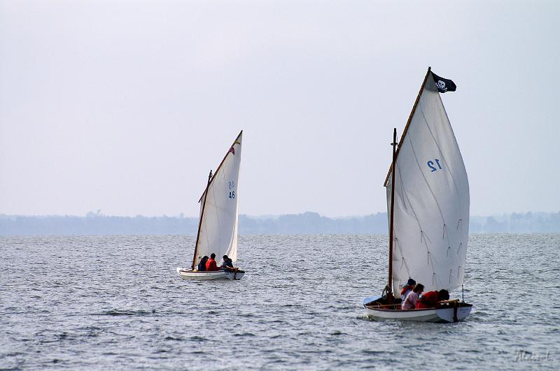 PICT3503c.jpg
