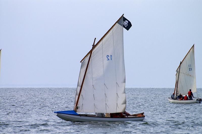 PICT3513c.jpg