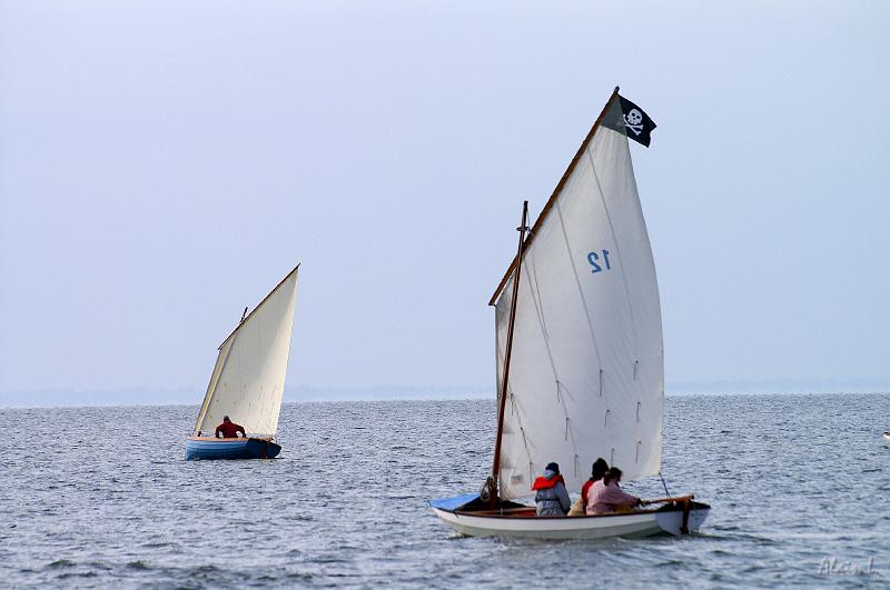 PICT3514c.jpg