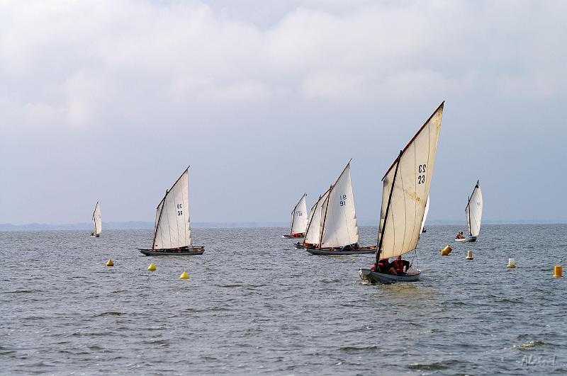 PICT3526c.jpg