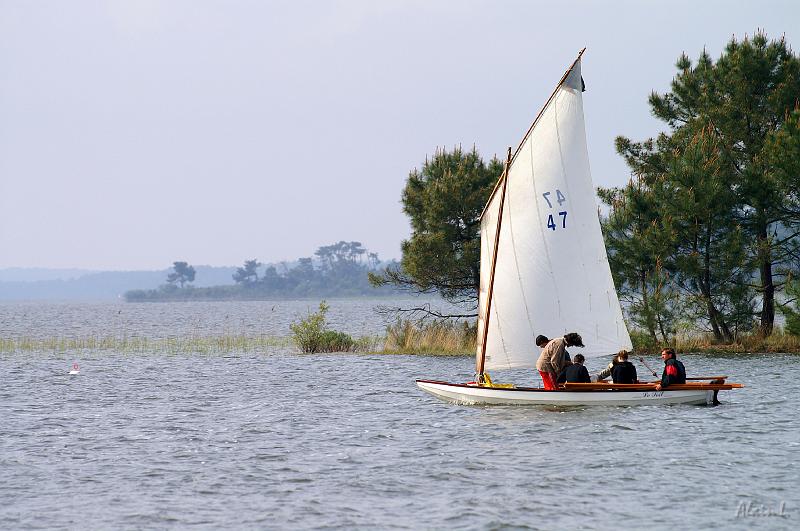 PICT3533c.jpg