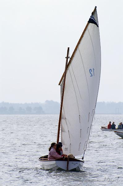 PICT3542c.jpg