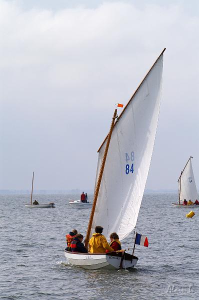 PICT3545c.jpg