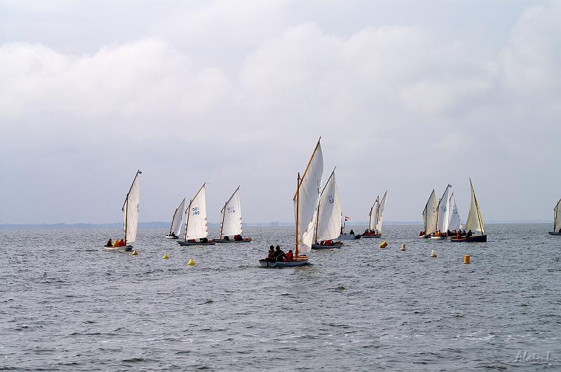 PICT3556c.jpg