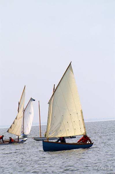 PICT3557c.jpg