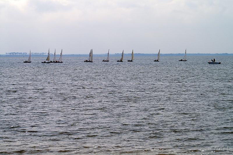 PICT3589c.jpg