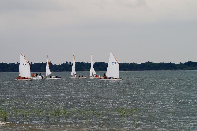 PICT3624c.jpg