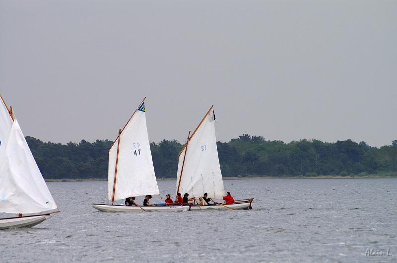 PICT3633c.jpg