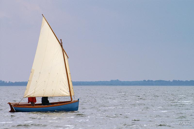 PICT3637c.jpg