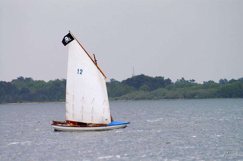 PICT3639c.jpg