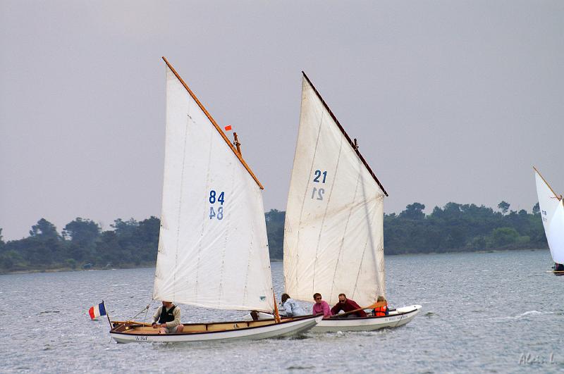 PICT3641c.jpg