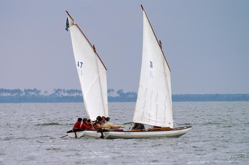 PICT3642c.jpg