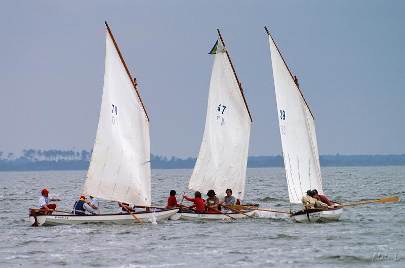 PICT3643c.jpg