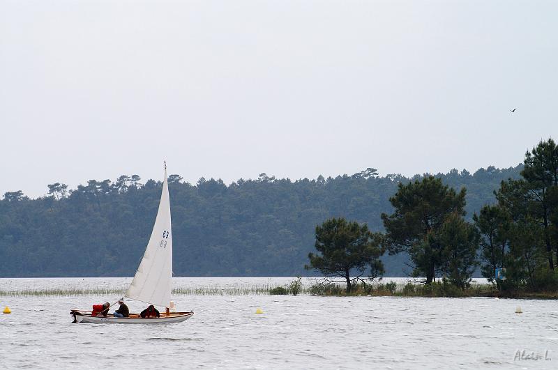 PICT3646c.jpg