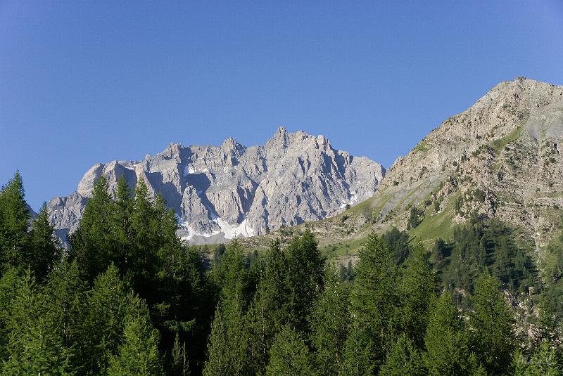 DSC03147.jpg