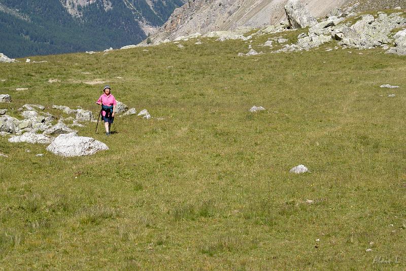 DSC03178.jpg - Arrivée au vallon d'Albert