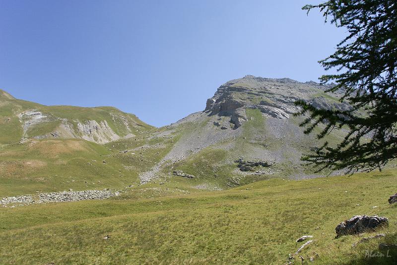 DSC03235.jpg