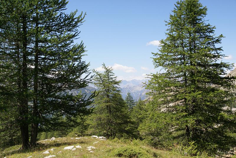DSC03278.JPG